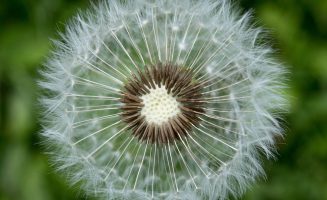 Initiatives écologiques